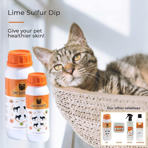 Classic's Lime Sulfur Dip (8 oz - Extra Strength Formula - Safe Solution for Pets)