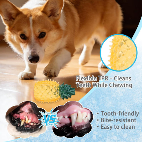 6 Pack Set Frozen Breeds,Summer Cooling Chew Toys, Freezable Teething Toy for Puppies, Chew Toys Squeaky Fruits