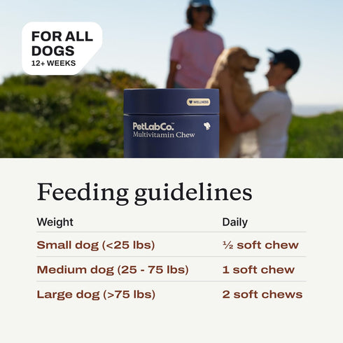 PetLab Co. 22 in 1 Dog Multivitamin - Supports Immune Response, Skin, Coat, Joints & Overall Health, Chewable Pork