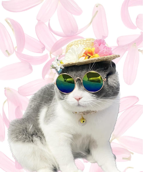 Hawaiian Costume for Pet, Summer Bandanna & Hat with Sunglasses for Pet