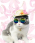 Hawaiian Costume for Pet, Summer Bandanna & Hat with Sunglasses for Pet
