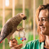Large Interactive Bird Toys for Foot Parrot - Handheld Toys, 4 Pack
