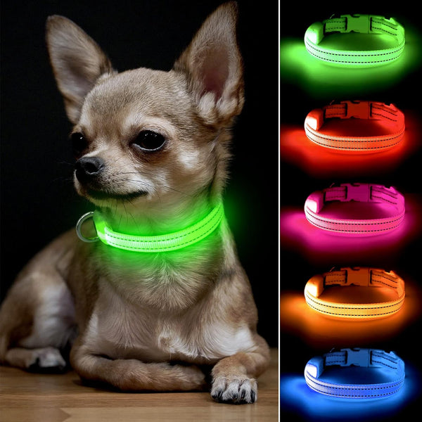 BSEEN Adjustable LED Dog & Cat Collar - Green, Rechargeable, Small Breeds, 8.5-11.8 inches, Lightweight, Reflective, 2