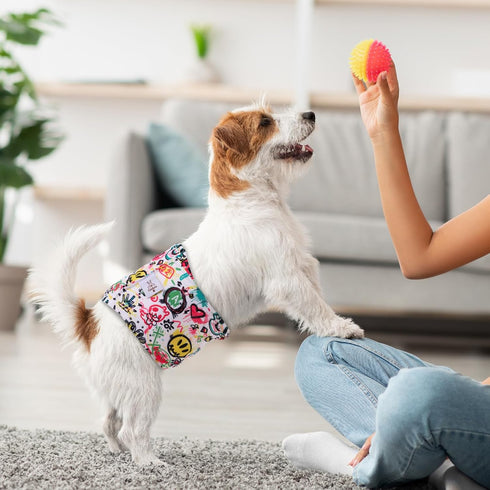 3pcs Pack DM54XS CuteBone Dog Diapers Male Washable Belly Band for Male Dogs Wraps Black a