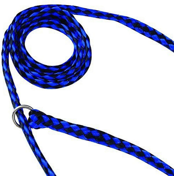 Guardian Gear Animal-Control O-Ring Slide Leads, 5' Long x ?" Wide, 12-Pack, Assorted Colors
