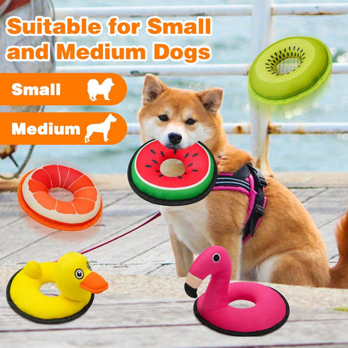 Squeaky Dog Toys, Floating Swim Ring Design for Indoor or Outdoor Play, Interactive Gifts for Small and Medium Dogs -