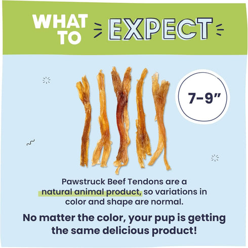 Pawstruck Natural 7-9" Beef Tendon Chew Sticks for Dogs - Premium Rawhide-Free, 10 Count