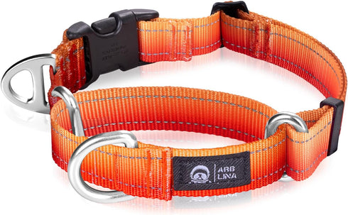 Martingale Dog Collar, Light-Reflective Polyester Collars for Whippets, Greyhounds, and Safety Training