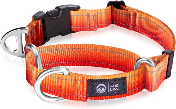 Martingale Dog Collar, Light-Reflective Polyester Collars for Whippets, Greyhounds, and Safety Training