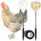 2 Pack Chicken Pecking Toys, Slow Feed Release Feeder Ball for Your