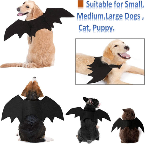 Halloween Costumes - Bat Wings for Small, Medium & Large Dogs & Cats | Funny Pet Apparel, Cosplay Clothes (M)