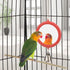 Hypeety Pet Bird Mirror with Bell Interactive Parrot Toy for Cockatiel Parakeets Canaries