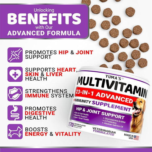 2-Pack Dog Multivitamin Chewable with Glucosamine - Senior & Puppy Multivitamin for Dogs for Hip & Joint Support
