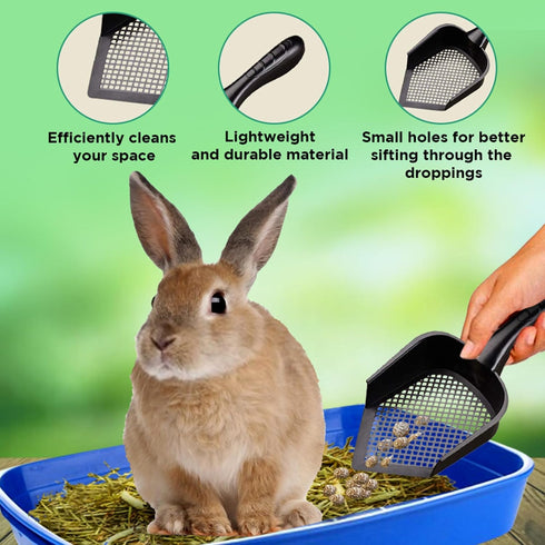 SunGrow Reptile Litter Scoop, Pointed Edge Shovel for Cat & Chicken Coop, Black, 1 Pc per Pack