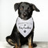 Yishuliwu Promoted to Big Brother White Pet Dog Bandanas Triangle Scarf Bandanas Bibs Birthday Party Props Gender