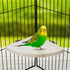 Wontee Bird Perch Stand, 2 Pack Wooden Platform Corner Ledge for Budgies, Cockatiels, Conures, 5.1"x5.1"