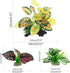 Reptile Artificial Plants, Terrarium Plants Decorations Supplies, Aquarium Fish Tank Plant, Amphibian Habitat Hideout Tank Accessories(M Set-4pcs/C) by Moonorange