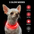 BSEEN Light Up Dog Collar, Rechargeable LED TPU Cuttable Lighted Collar for Small Medium Large Dogs (XS-Red, 40cm)