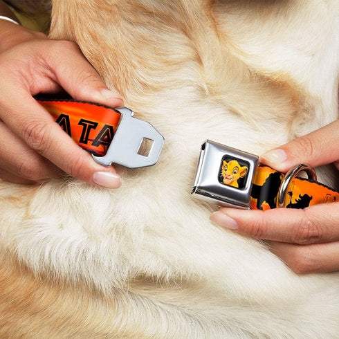 Dog Collar Seatbelt Buckle, Lion King Hakuna Matata, Sunset Oranges, Black, 9 to 15 Inches, 1.0 Inch Wide (DC-WDY030-S)
