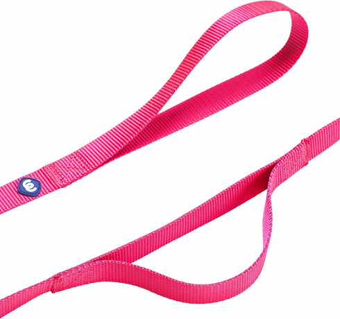 Blueberry Pet Essentials Double Handle Dog Leash, 4ft x 1" for Traffic Control, Classic Nylon Leash in French Pink