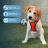 Best Pet Supplies All Weather Reflective No Pull Harness for Small Medium Dogs and Cats, Orange/Black Trim, XS