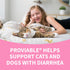 30 Nutramax Proviable Probiotics for Dogs and Cats, Daily Digestive Health Supplement with Multiple Strains