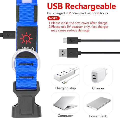 Vizpet LED Dog Collar - Adjustable USB Rechargeable Light Up Safety Glowing Collar for Dogs (Large, Blue)