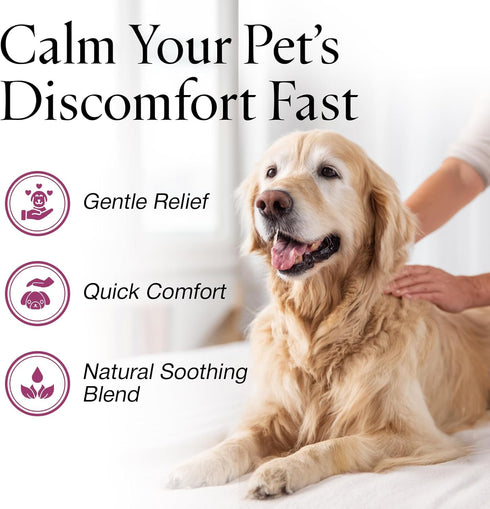 16 oz Jax N Daisy Dont Let Your Dog Itch Lotion, Itch Relief for Dogs, Anti-Itch Skin Soother & Grooming Care