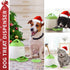 PETGEEK Automatic Dog Treat Dispenser with Button - Puzzle Memory Training Feeder, Pet Geek Button Treat Food