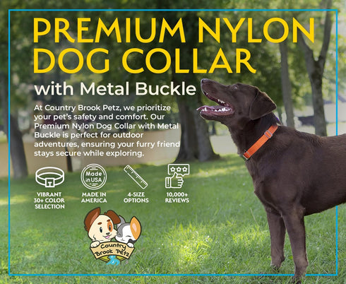 Country Brook Petz Premium Nylon Dog Collar with Metal Buckle, Large, 1 Inch, Ice Blue