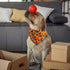 '-1 Pack, Halloween Dog Bandana Premium Durable Triangle Reversible Dog Scarf, Adjustable Puppy Bandana Bib Handkerchief
