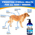 Omega 3 Fish Oil for Dogs, 8.8 FL.OZ Salmon Oil Supplement for Skin and Coat, EPA + DHA, Golden