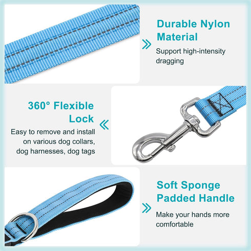 Led Dog Leash 4 Ft - Light Up Rechargeable Waterproof Nylon Reflective Leashes with Padded Handle for Night Walking