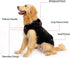 EXPAWLORER Dog Hoodie Fleece Sweater Vest, Hooded Dog Sweatshirt, Warm Cozy Puppy Clothing for Small Medium Large Dogs