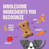 20 oz Wellness Old Mother Hubbard Hip & Joint Dog Biscuits, Natural Training Treats, Chicken, Apple, Oats, and Carrot