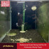 Setups (1L) ShrimpSoil Pro - Freshwater Shrimp & Aquatic Plant Soil | Professional Buffering Substrate for Caridina