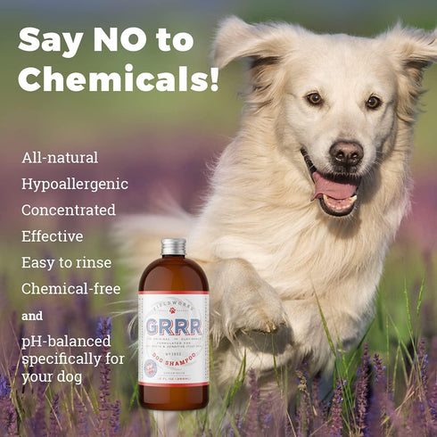 Heel's New Name - GRRR. Natural Dog Shampoo with Lavender Essential Oils for Itchy Skin, Hot Spots, Pet Odor, 12 ounces