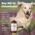 Heel's New Name - GRRR. Natural Dog Shampoo with Lavender Essential Oils for Itchy Skin, Hot Spots, Pet Odor, 12 ounces