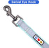 Pawtitas 6 FT Padded Dog Leash, Comfortable Neoprene Padding Handle, Teal Lead for Medium and Large Dogs