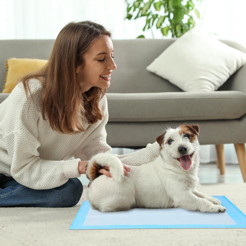 Super Absorbent Waterproof Dog and Puppy Pet Training Pad, Housebreaking Pet Pad, 200-Count Medium-Size, 23.6’’X23.6’’