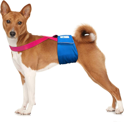 Paw Inspired Dog Diaper Suspenders with Velcro Fasteners, Adjustable for Disposable & Washable Diapers, Fits Small to