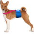 Paw Inspired Dog Diaper Suspenders with Velcro Fasteners, Adjustable for Disposable & Washable Diapers, Fits Small to