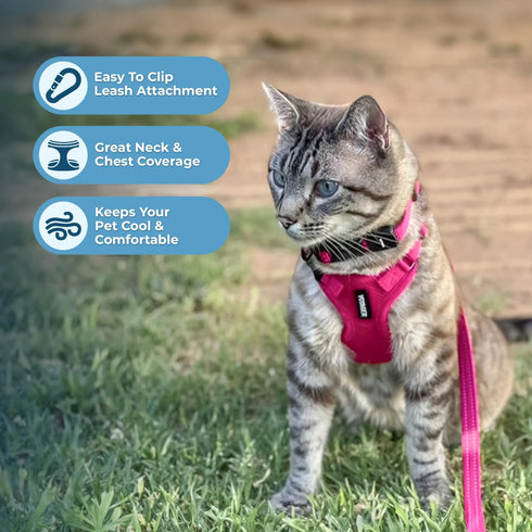 Voyager Step-in Lock Adjustable Cat Harness with Leash Combo Set - Best Pet Supplies, Fuchsia, XXS