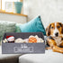 Large Trapezoid Dog Toy Box, Collapsible Pet Supplies Storage Basket with Handles, Perfect for Organizing Dog Cat Toys