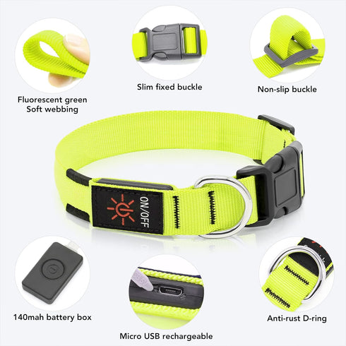 Light Up Dog Collar, Adjustable LED Rechargeable Waterproof for Night Walking, Glow in The Dark for Medium Large Dogs