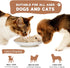 Freeze Dried Raw Cat and Dog Treats, Healthy Limited Ingredient Chicken Cube Training Treats, 5 Ounce