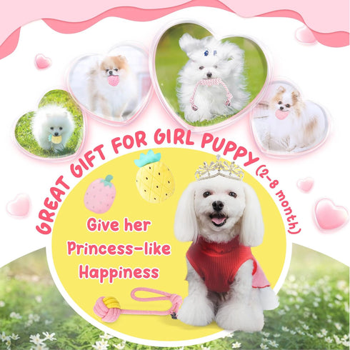 Pink Puppy Toys for Teething - 23 Pack Puppy Chew Toys for Boredom, Interactive Dog Toys for Puppies, Cute Small Dog Toys with Treat Ball, Squeaky Dog Chew Toys and Ropes