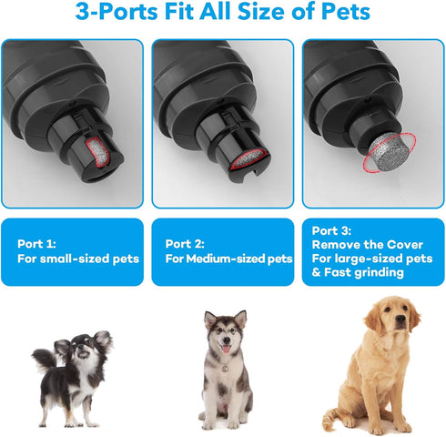 2 2-Speed Trimmer Casfuy Dog Nail Grinder with LED Light - New Version Powerful Electric Pet Nail Professional Quiet