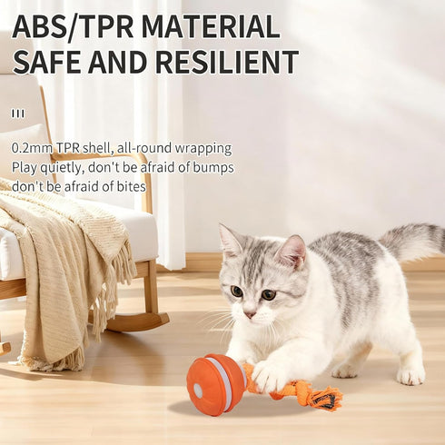 SPGSWCY 2-Pack Interactive Dog & Cat Toys for Small Dogs Indoor Cats - Auto Moving Balls with Chirping Squeaky Sounds