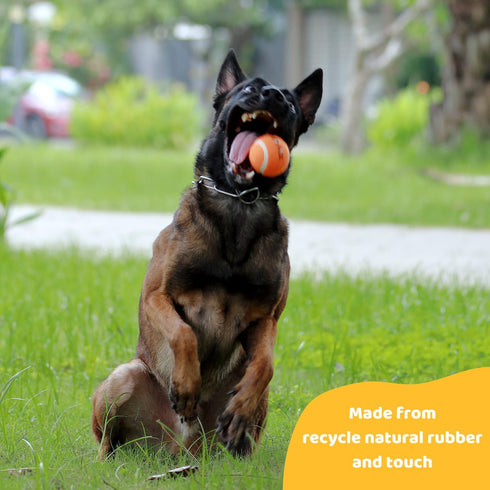 Pup’s Pick Squeaky Tennis Balls for Dogs, 12-Pack 2.5" in Bright Colors (Yellow Blue Pink Orange), Fun Fetch Balls with